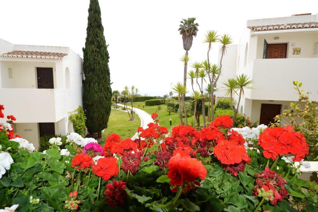 Nautilus Apartment Armação de Pêra Εξωτερικό φωτογραφία